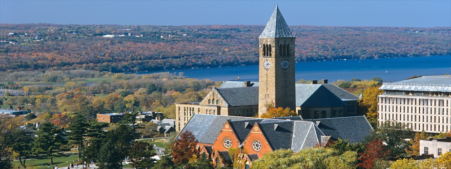 CORNELL UNIVERSITY